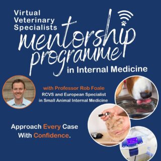 Do you want to expand your knowledge and grow in confidence in internal medicine? Do you want dedicated time to discuss internal medicine topics with a specialist? How does personalised mentorship sound to you?

If you would like to find out more about this exciting new CPD offering, you can register your interest online through the link in our bio! 

#mentorship #support #development #internalmedicinementorship #internalmedicine #CPD #virtualveterinaryspecialists #VVS