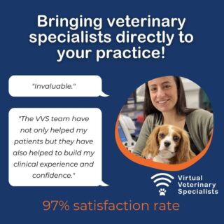 Would you love to be able to deliver specialist care within your veterinary practice?

Now you can! The VVS digital platform makes it possible to have live-guided consultations with our Veterinary Specialists in real-time, enabling you to better diagnose and support your patients in-practice. 

Our specialists cover all the key disciplines:
Anaesthesia 💉 
Diagnostic Imaging 🩻 
Cardiology 🩺 
Internal Medicine 🌡️ 
Feline Medicine 🐈 
Neurology 🧠 
Dermatology 🦟 
Dentistry 🦷 
Oncology 💊 
Ophthalmology 👁️ 
Exotics 🐍 

With a 97% satisfaction rate, we’re empowering vets across the UK to offer more to their patients. Collaborate with specialists on complex cases, whilst earning CPD and reducing patient’s need to travel!

www.vvs.vet

#virtualvet #vvs #virtualreferral #veterinaryspecialist #virtualspecialist #veterinaryreferral #virtualreferral #vetmed #veterinarymedicine #vetcpd #veterinarycpd #veterinarycollaboration #veterinarycare #smallanimalvet #rvn #veterinarynursing