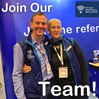 📣 Join the VVS Team! 📣 

We are looking for two new colleagues to expand our team!

We are recruiting for a COMMERCIAL EXECUTIVE and a REFERRAL COORDINATOR. 

If you have veterinary experience and an interest in innovation and technology and how these can be applied to the veterinary field then we might just have the role for you!

For more information on both roles please visit our website.

buff.ly/3RMNaof 

Join our friendly, forward-thinking, highly-motivated team and help shape the future of specialist veterinary healthcare whilst working mainly from home!

#joinourteam #rvnjob #rvnjobs #vetnursejobs #vetjobs #vetnurse #rvn #rvnrecruitment #vetrecruitment #vvs #diversification #vsgd #vsgdcareers #newjob #virtualvet #virtualreferral #veterinaryreferral #veterinaryjobs #virtualspecialist