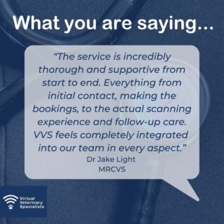 🙌 Join the referral revolution! 🙌

VVS helps to empower and support vets to approach every case with confidence, and revolutionise your thinking around referral-level care. Keep your patients in your practice, and sleep easy, safe in the knowledge that you have a team of expert specialists on your side! 

#vvs #virtualvet #virtualsupport #testimonial #veterinarycare #veterinarysupport #vetcpd #veterinarycpd #virtualspecialist #veterinaryspecialist #virtualreferral #veterinaryreferral 

buff.ly/3A1sLos
