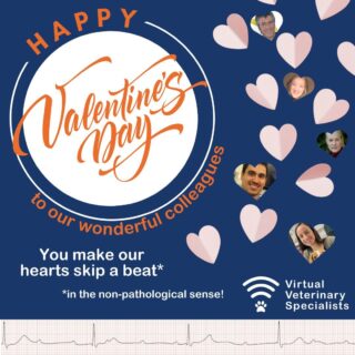 💘 HAPPY VALENTINE'S DAY 💘 

Our specialist cardiology team can certainly tell you all about matters of the heart....

...and we thought we 'aorta' tell you how much they enjoy working with you!

We won't tell 'A. Fib'. They are really pumped to help you on your next case.

They can 'heartly' wait. 

www.vvs.vet

#vetcardio #veterinarycardiology #veterinaryhumour #vetcpd #veterinarycpd #vetsupport #virtualvet #virtualspecialist #virtualreferral #veterinaryreferral #veterinarycardiologist #vetpuns #valentinesday