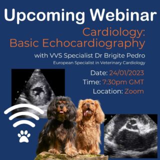 ❣️ Cardiology Webinar! ❣️

Here at VVS we are looking forward to another year of helping vets to access specialist advice and support for their clinical cases in practice.

We are kicking off the year by offering a FREE evening webinar with VVS cardiology specialist Dr Brigite Pedro. 

Join Brigite at 7.30pm on Tuesday 24th January as she shares her top tips on basic echocardiography. From how to position yourself comfortably when scanning to common echo views and how to obtain them. 

 💻 What: 'Basic Echocardiography' with Dr Brigite Pedro
 📅 When: Tuesday 24th January
 ⏲️ Time: 7.30pm
 🗺️ Where: Zoom
 
Register for free through the link in our bio. 

www.vvs.vet 

#webinar #vetwebinar #vetcpd #veterinarycpd #vetlearning #vetcardio #veterinarycardiology #cpd #vetmed #virtualvet #virtualreferral #virtualspecialist #veterinaryspecialist
