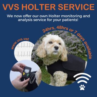 Did you know VVS offer a Holter monitoring and analysis service?

Typically the VVS Specialist Holter report will be returned to you in 72 working hours from when we receive the monitor. 

In addition you can arrange a complimentary call with one of our cardiologists to discuss the findings, next steps and any recommended changes in medical management. 

To schedule a 24hr, 48hr or 7 day Holter monitor for your patient visit the link below. 

www.vvs.vet/vvs-holter-service/

#vetcardio #veterinarycardiology #vvs #holterservice #smallanimalmedicine #smallanimalcardio #veterinaryholter #holtermonitor #smallanimalvet #virtualreferral #virtualvet #veterinarymedicine #vetmed #veterinary