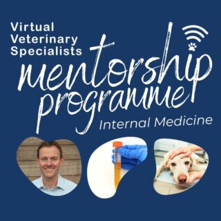 Become the clinician you want to be with our VVS Internal Medicine Mentorship! It’s the perfect way to build confidence in your clinical decision making, and develop your internal medicine approach.

Our flexible mentorship programme is lead by Professor Rob Foale, RCVS and European Specialist in Small Animal Internal Medicine and includes: 

-	A monthly interactive, live case-based group seminar 
-	Monthly private one hour 1-2-1 Mentorship Session 
-	Supportive closed Facebook Group
-	In-depth case analysis and learning

Visit the link in our bio!

#veterinarymentor #veterinarymentroship #smallanimalmedicine #internalmedicine #virtualvet #virtualsupport #vetcpd #veterinarycpd #vetlearning #vetsupport #veterinaryspecialist #veterinaryreferral #veterinarysupport #vvs