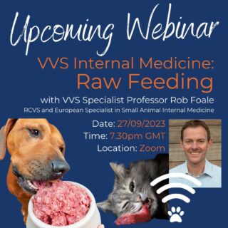 Do your clients have questions about raw feeding? 🥩 

Are there proven clinical benefits? 🤷‍♀️ 

Are you familiar with the research surrounding raw feeding? 🎓 

In our latest upcoming webinar Professor Rob Foale, RCVS and European Specialist in Small Animal Internal Medicine discusses the current evidence on the topic of 'Raw Feeding'. 

This topical and informative session will not be one to miss!

⏰ Time: 7.30pm
📅  When: Weds 27th September
📍  Where: Online (Zoom)

Register for this free webinar through the link in our bio. 

We look forward to seeing you there!

www.vvs.vet

#rawfeeding #rawfeedingwebinar #veterinarycpd #veterinarywebinar #vetcpd #felinemedicine #felinemed #smallanimalmedicine #smallanimalmed #virtualvet #virtualreferral #virtualspecialist #veterinaryspecialist #cpd #freecpd #vetmed #vvs #vetwebinar