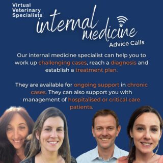 An unstable diabetic? Patient with unexplained weight loss? PU/PD with no clear cause?

What case is puzzling you at the moment?

Share the load and speak with one of our friendly and experienced internal medicine specialists about the case. Review the case history together and have a second pair of eyes supporting you to establish the next steps for the patient management. 

Email info@vvs.vet or visit our website through the link in our bio to speak with the VVS internal medicine specialists. 

#virtualvet #virtualreferral #virtualspecialist #veterinaryreferral #veterinaryspecialist #vetmed #veterinarymedicine #smallanimalvet #internalmedicine #internalmedicinespecialist #felinemedicine #caninemedicine