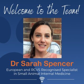 Welcome to the team!

We are so pleased to welcome Dr Sarah Spencer to the VVS internal medicine specialist team.

Sarah became an internal medicine ECVIM diplomate in 2018 and worked at the Queen Mother Hospital at the Royal Veterinary College where she supervised interns, residents and participated in some undergraduate teaching.

Sarah is currently doing a PhD at the RVC, investigating the role of aldosterone in feline chronic kidney disease. 

Sarah enjoys teaching and has recently been a tutor for the University of Sydney’s Feline Medicine Distant Education course. Her particular interests are feline medicine and haematology. 

If you would like to work with Sarah on your clinical cases get in touch via our website www.vvs.vet or email us at info@vvs.vet.

#smallanimalmedicine #internalmedicine #smallanimalmed #smallanimalvet #internalmedicinespecialist #veterinaryspecialist #vetmed #veterinarymedicine #virtualvet #virtualspecialist #specialistsupport #vetcpd #vvs #virtualreferral