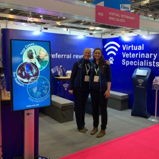 Day One @vetshows London Vet Show. 

We can’t wait to speak with you at stand H13 today and tomorrow! 

#londonvetshow #lvs2022 #vetshows #vetcpd #vvs #jointhereferralrevolution