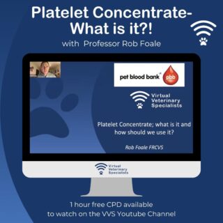 Did you catch the brilliant webinar last week from VVS Internal Medicine Specialist Professor Rob Foale on platelets? He also discussed the new product from Pet Blood Bank UK, 'Platelet Concentrate'. 🩸

Don't worry if you missed it, you can catch up for free now through the link in our bio! 📲

www.vvs.vet

#vetcpd #petbloodbank #veterinarywebinar #veterinarycpd #freecpd #petbloodbankuk #vvs #vvsvet #virtualvet #veterinarymentorship #veterinaryreferral #smallanimalmedicine #internalmedicine