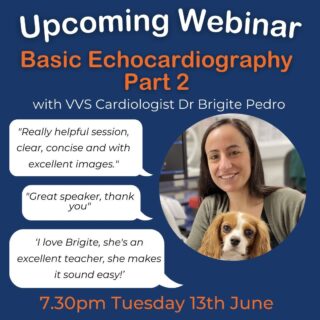 Join us for an introduction to cardiac scanning and common cardiac measurements with our FREE Cardiology Webinar: Basic Echocardiography Continued. 

During this one-hour webinar, our host RCVS and European Specialist in Veterinary Cardiology, Dr. Brigite Pedro, will talk continue to talk through the common views as well  and top tips to help you in your next cardiac work-up! 

‘Really helpful session, clear, concise and with excellent images.’

‘Extremely helpful webinar and all of the questions I had about echocardiography have been answered by Brigite.’

‘Great presentation! Very encouraging and am certainly keen to try these new skills learnt now!’

This webinar is a the second installment of our cardiology webinar series and is an excellent watch for those looking to advance their knowledge of echocardiography and improve patient care. Can’t make it live? Sign up, and you’ll receive the recording.

Sign up today and share with your colleagues! Find the link in our bio. 

If you missed the first webinar in the series on cardiac scanning and common echo views, you can catch up on our Youtube or through the link in our bio. 

www.vvs.vet

#vvs #virtualvet #virtualcpd #veterinarywebinar #veterinarycpd #vetcpd #vetwebinar #freecpd #cardiologycpd #vetcardio #veterinarycardiology #veterinaryreferral #virtualreferral