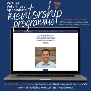 Can you explain what mentorship is? 

We caught up with Professor Rob Foale, RCVS and European Specialist in Small Animal Internal Medicine, and our fantastic VVS Internal Medicine Mentor, to answer that very question and to discuss the Mentorship Programme in more detail. 

Read our latest blog post through the link in our bio to find out what Rob had to say and follow along with the example case study! 

#internalmedicine #smallanimalmedicine #smallanimalinternalmedicine #veterinaryblog #vetcpd #problemorientatedmedicine #veterinarycpd #virtualvet #veterinarymentorship #veterinarylearning #vetlearning #virtualspecialist #veterinaryspecialist
