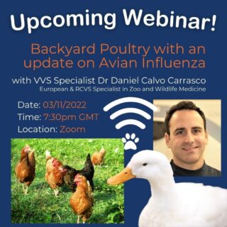 🐔 One week today! 🐔

Dr Daniel Calvo Carrasco provides a topical and timely update on backyard poultry and what you should know about avian influenza. 

Join us as Daniel covers backyard poultry this fast changing situation of bird flu, complete with an opportunity to ask your own questions in the Q&A session. 

Delve deeper into this subject:
📅 Thursday 3rd November 2022
⏱️ 7.30pm
📍  Zoom (Online) 

To register for free please follow the link in our bio. 

We look forward to seeing you then! 🙂

#veterinarycpd #veterinarywebinar #freecpd #vetcpd #exoticmed #exoticmedicine #poltrymedicine #smallanimalmedicine #smallanimal #virtualvet #virtualreferral #virtualspecialist #veterinaryspecialist