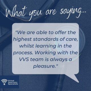 It is great to get such lovely feedback from the vets that work with us. 

We love working with all of our fantastic partner practices, and enjoy being trusted to support and guide them with their clinical cases. 

We would love to work with you too. Find out more at https://buff.ly/3A1sLos or email us on info@vvs.vet. 

#testimonial #vvs #virtualveterinaryspecialists #virtualvet #virtualreferral #virtualspecialist #veterinaryspecialist #veterinarysupport #vetmed #veterinarymedicine #vetcpd