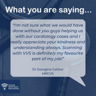 Looking for help with your cardiology cases? This testimonial might resonate with you.

For more information visit www.vvs.vet.

To speak to the VVS team email info@vvs.vet

#virtualvet #virtualreferral #virtualspecialist #veterinaryspecialist #vetcardio #veterinarycardio #veterinarycardiology #vvs #testimonial #vetsupport #vetcpd #veterinarycpd