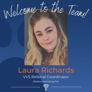 ⭐️ Welcome Laura Richards to the VVS Team! ⭐️

Laura is a registered veterinary nurse and we are so pleased to welcome her as a new member of the VVS referral coordination team.

Laura has worked in both first opinion practice and also in a referral hospital as a theatre specific deputy head nurse. Laura has completed a nursing certificate in surgical nursing and is currently studying towards her master’s degree in advanced veterinary nursing focusing on the surgery and analgesia disciplines. 

Laura is passionate about continuous improvement for both practices, and veterinary colleagues. 

We hope you join us in welcoming Laura to the team and enjoy working with her as much as we do!

#welcometotheteam #rvn #virtualvet #virtualreferral #virtualspecialist #veterinaryspecialist #veterinaryreferral #teamvet