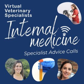 🐾 Calling all vets! 🐾

Are you looking for expert clinical collaboration to enhance your practice? Look no further! Our Internal Medicine Specialist team is here to support you with valuable advice and guidance as you need it.

Whether you're facing challenging cases or seeking second opinions, our specialists are ready to collaborate with you and share their expertise. 

Let's work together to provide outstanding care for pets and their owners. 🐶🐱.

Contact us to discuss your clinical cases today! 

www.vvs.vet/refer-a-case/ 

info@vvs.vet

#virtualvet #virtualreferral #virtualspecialist #veterinaryspecialist #vetmedicine #veterinarymedicine #smallanimalvet #smallanimalmedicine #felinemedicine #caninemedicine #vvs #testimonial #vetsupport #vetcpd #veterinarycpd #veterinarycollaboration