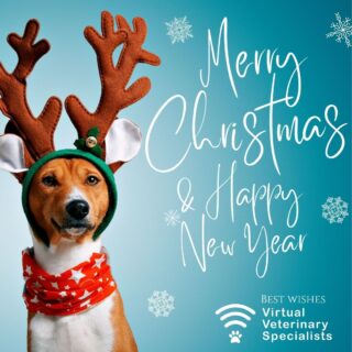On behalf of the whole team at Virtual Veterinary Specialists, we would like to wish you a very Merry Christmas!

www.vvs.vet 

#merrychristmas #seasonsgreetings #happynewyear #instavet #vetmed