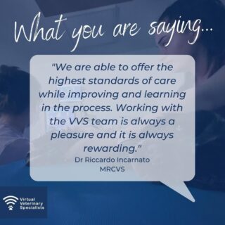 It's Friday! We hope you have a brilliant weekend!

If you are curious about what it is like working with VVS? This testimonial says it all!

Interested? Get in touch by emailing info@vvs.vet or visit www.vvs.vet 

#testimonial #virtualvet #virtualspecialist #vetsupport #veterinarysupport #vetcpd #veterinarycpd #veterinaryspecialist #veterinaryreferral #virtualreferral