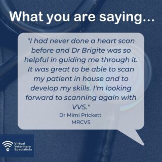'I had never done a heart scan before and Dr Brigite was so helpful in guiding me through '

Whether you are an experienced scanner or a new graduate we can support all skill levels with our cardiac work-ups!

To find out more visit www.vvs.vet or speak to the team by emailing info@vvs.vet. 

We look forward to working with you! 

#virtualvet #virtualreferral #virtualspecialist #virtualreferral #veterinaryreferral #vetcpd #virtualcpd #veterinarycpd #vetsupport #virtualsupport #testimonial #vetmed