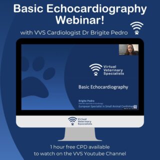 Did you miss our webinar with Dr Brigite Pedro where she talked through 'Basic Echocardiography'? ❤️ 

Don't worry! You can catch up with the recording on our Youtube. 📱 

Find the link in our bio. 🔗 

We have had amazing feedback from everyone who came on the night, so definitely one to watch!

#vetcpd #vetcardio #veterinarycardiology #vetwebinar #veterinarycpd #vvs #virtualvet #virtualreferral #virtualspecialist #veterinaryreferral #veterinaryspecialist #echocardiography #vetlearning #vetsupport 

www.vvs.vet