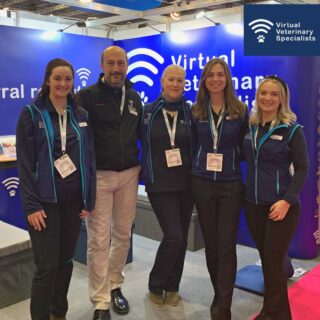 We are always on the look out for dynamic and forward-thinking UK-based individuals to join our growing team.

If you have both clinical and commercial veterinary experience and you are interested in helping to develop the future of virtual veterinary specialist care submit your CV to info@vvs.vet.

www.vvs.vet

#virtualvet #vetjobs #veterinaryrecruitment #virtualspecialist #vetmed #veterinarymedicine #smallanimalvet #veterinary #veterinarymedicine #veterinaryreferral #virtualreferral #veterinarynursing