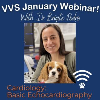 Cardiology Webinar Next Week! 

We are kicking off the year by offering a FREE evening webinar with VVS cardiology specialist Dr Brigite Pedro. 

Join Brigite at 7.30pm on Tuesday 24th January as she shares her top tips on basic echocardiography. From how to position yourself comfortably when scanning to common echo views and how to obtain them. 

 💻 What: 'Basic Echocardiography' with Dr Brigite Pedro
 📅 When: Tuesday 24th January
 ⏲️ Time: 7.30pm
 🗺️ Where: Zoom

Register for free here through the link in our bio. 

www.vvs.vet 

#webinar #vetwebinar #vetcpd #veterinarycpd #vetlearning #vetcardio #veterinarycardiology #cpd #vetmed #virtualvet #virtualreferral #virtualspecialist #veterinaryspecialist