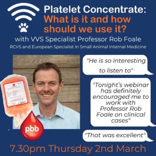 🩸 VVS Internal Medicine Webinar! 🩸 

Join Professor Rob Foale, RCVS and European Specialist in Internal Medicine as he discusses the new Platelet Concentrate product available from @petbloodbank and answers your burning questions such as; what actually is Platelet Concentrate? How should we use it? When should we probably not be using it? 

Rob is a fantastic speaker, you will not want to miss this event. Don't just take our word for it, all of this is feedback from those who attended Rob's recent VVS webinars. 🗣️ 

 💻 What: 'Platelet Concentrate: What is it and how should we use it? 
 📅 When: Thursday 2nd March
 ⏲️ Time: 7.30pm
 🗺️ Where: Zoom

Register for free through the link in our bio. 

buff.ly/3A1sLos 

#webinar #vetwebinar #vetcpd #veterinarycpd #vetlearning #vetinternalmedicine #smallanimalmedicine #veterinarymedicine #cpd #vetmed #virtualvet #virtualreferral #virtualspecialist #veterinaryspecialist