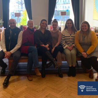 As a virtual team, it is always a real treat to get together in person. 

This week we enjoyed 2 days working face-to-face on some exciting projects, as well as a chance to socialise. 

We challenged ourselves to our first escape room and we are pleased to say we managed to 'escape' with a few minutes to spare! Thanks to @escapeerooms for a brilliant experience. 

We are also excited to share that we are expanding our fantastic team. If you are interested in finding out more about the current recruitment opportunities visit the link in our bio.

buff.ly/3A1sLos 

#offsitetraining #teamtraining #vvs #veterinary #vetmed #virtualvet #virtualreferral #teambuilding #virtualspecialist #veterinaryspecialist #veterinaryreferral