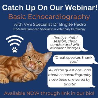 Did you miss our webinar with Dr Brigite Pedro this week?

Don't worry! You can catch up with the recording on our Youtube. Find the link in our bio. 

We have had amazing feedback from everyone who came on the night, so definitely one to watch!

#vetcpd #vetcardio #veterinarycardiology #vetwebinar #veterinarycpd #vvs #virtualvet #virtualreferral #virtualspecialist #veterinaryreferral #veterinaryspecialist #echocardiography #vetlearning #vetsupport 

www.vvs.vet