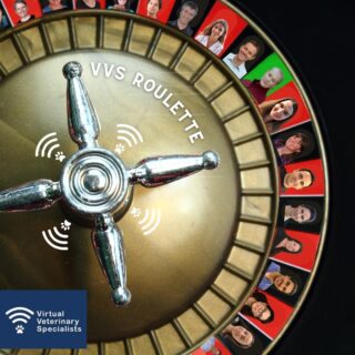 Introducing VVS Roulette!

Take your chance with the VVS Roulette in our new advice call service. 🎲 

Half the price of our usual VVS specialist advice calls, spin the wheel and enjoy a total surprise of which VVS specialist you speak to! 🎰 

At the end of the line you could find our lovely anaesthetist, one of our brilliant internal medics, a smiley VVS ophthalmologist or anyone from our team of 11 specialist veterinary disciplines! ☎️ 

Chance your luck, you may get the discipline you need first time. If not you enjoy a fun and interesting chat with one of our friendly VVS specialists. 🍀 

buff.ly/3A1sLos 

#virtualvet #virtualreferral #virtualspecialist #vvs #veterinarysepcialist #veterinarysupport #veterinarycare #vetcpd #veterinarycpd #clinicalsupport