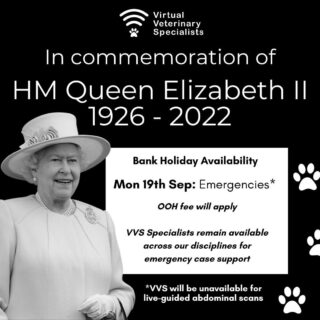 Virtual Veterinary Specialists will be running an emergency only service on Monday 19th September to continue to support you and your patients, whilst allowing our team to commemorate The Queen.

Her Majesty Queen Elizabeth II was a renowned animal lover and loyal patron of the Royal College of Veterinary Surgeons, and her sad passing has been felt across the veterinary community, and throughout the team here at VVS.

Our thoughts will be with the Royal Family as we all say our final farewell on Monday.

We remain available across our disciplines for emergency case support, and should you need us you can contact us in the usual ways.