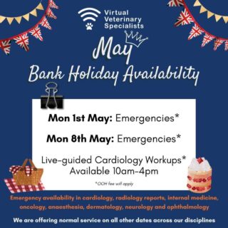 BANK HOLIDAY WEEKEND AVAILABILITY

We would just like to remind you that we are here to help over the upcoming bank holiday Mondays ☀👑

We have emergency availability in cardiology, radiology reports (with urgent turnaround available everyday), internal medicine, oncology, neurology, ophthalmology, dermatology and anaesthesia! 

Contact us via email (info@vvs.vet) or complete our online referral form if you have any cases that we can help with!

We hope you have a lovely long weekend, 

The VVS Team 😊

www.vvs.vet