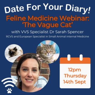 ⭐ Free Feline Medicine Webinar ⭐ 

Join Dr Sarah Spencer, RCVS and European Specialist in Small Animal Internal Medicine in her upcoming lunchtime webinar.

When:  14th September 2023 📅 
Time:  12pm 🕛 
Where:  Zoom 💻 

Titled "She's just not right": Approach to the vaguely unwell, inappetent and lethargic cat'. Sarah will cover her thoughts on how to approach feline cases with non-specific presenting signs. 

Register for this free webinar through the link in our bio. 

Everyone who attends on the day will be sent a CPD certificate. 

For those who can't attend on the 14th, a recording will be shared after the event. 

buff.ly/3A1sLos

#webinar #vetwebinar #veterinarywebinar #vetcpd #freevetcpd #cpdevent #lunchandlearn #veterinarycpd #rvncpd #virtualvet #virtualreferral #vetlearning #smallanimalmedicine #felinemedicine #felinemedicinecpd #virtualspecialist #veterinaryspecialist #vvs