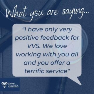 Starting the week on a positive note! ✨ 

We love working with all of our partner practices, and enjoy being trusted to support and guide them with their clinical cases. It is great to hear that they feel the same about us!

We would love to work with you too. Find out more at www.vvs.vet

#testimonial #vvs #virtualveterinaryspecialists #virtualvet #virtualreferral #virtualspecialist #veterinaryspecialist #veterinarysupport #vetmed #veterinarymedicine #vetcpd