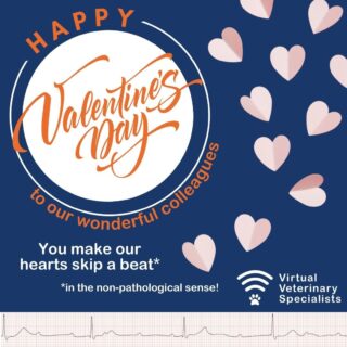💘 HAPPY VALENTINE'S DAY 💘 

Our specialist cardiology team can certainly tell you all about matters of the heart....

...and we thought we 'aorta' tell you how much they enjoy working with you!

We won't tell 'A. Fib'. They are really pumped to help you on your next case.

They can 'heartly' wait. 

https://www.vvs.vet/cardiology-veterinary-specialists/ 

www.vvs.vet

#vetcardio #veterinarycardiology #veterinaryhumour #vetcpd #veterinarycpd #vetsupport #virtualvet #virtualspecialist #virtualreferral #veterinaryreferral #veterinarycardiologist #vetpuns #valentinesday