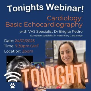 Cardiology Webinar This Evening! 

Tonight is our first webinar of the year with a FREE evening webinar with VVS cardiology specialist Dr Brigite Pedro. 

Join Brigite at 7.30pm this evening (Tuesday 24th January) as she shares her top tips on basic echocardiography. From how to position yourself comfortably when scanning to common echo views and how to obtain them. 

 💻 What: 'Basic Echocardiography' with Dr Brigite Pedro
 📅 When: Tuesday 24th January
 ⏲️ Time: 7.30pm
 🗺️ Where: Zoom

Register for free in the link in our bio. 

www.vvs.vet 

#webinar #vetwebinar #vetcpd #veterinarycpd #vetlearning #vetcardio #veterinarycardiology #cpd #vetmed #virtualvet #virtualreferral #virtualspecialist #veterinaryspecialist