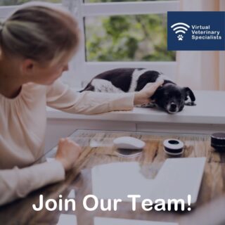 Do you have good knowledge of accounting and bookkeeping procedures?

Do you have excellent organisational and time management skills?

Do you have experience in a virtual/remote working role?

We are looking for a Finance and Admin Assistant to join the VVS team.

Find out the full details and how to apply for this exciting role on our website: www.vvs.vet/join-the-team/ 

#remoteworking #ukjobopportunity #AATlevel2 #jobrecruitment #bookkeeping #financeandadmin #administration #accounting #recruitment