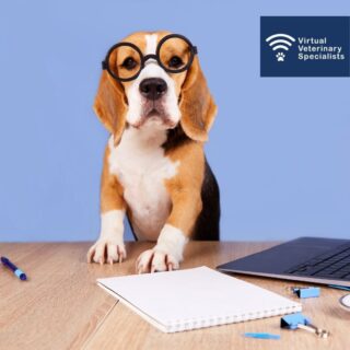 In the search for some great veterinary CPD?

Catch up on all of our brilliant webinars for free on our website or through our YouTube page including:

*'Basic Echocardiography' Part 1 and Part 2 with Dr Brigite Pedro
* ‘How to Manage Complicated Clinical Endocrine Conundrums’ with Professor Rob Foale
* 'Cancer Conversations- Breaking the News' with Dr Clare Knottenbelt 
* 'Management of Atopy in Dogs' with Dr Rosario Cerundolo 

buff.ly/45OdcNR 

Find our Youtube Channel through the link in our bio. 

#vetcpd #veterinarywebinars #veterinarycpd #freecpd #rvncpd #nursecpd #smallanimalmedicine #smallanimalcardiology #smallanimaloncology #veterinarydermatology #vetlearning #vetsupport #veterinarymedicine #vetmed #virtualvet #virtualreferral