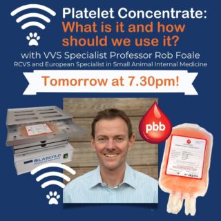 🎉 Don't miss our webinar tomorrow night! 🎉

Tomorrow, 2nd March at 7.30pm, Professor Rob Foale will be answering your questions on platelet concentrate. 👨‍💻 

Rob is a RCVS and European Specialist in Small Animal Internal Medicine and he is looking forward to discussing the new @petbloodbank product and what cases you should and shouldn't be using this product for! 🩺 

To register follow thie link in our bio. 

 www.vvs.vet 

#vetcpd #vetwebinar #veterinarycpd #petbloodbank #vvs #vetmed #smallanimalmedicine #veterinarymedicine #virtualvet #virtualspecialist #veterinaryspecialist #veterinaryreferral #internalmedicine #intmed #smallanimalintmed