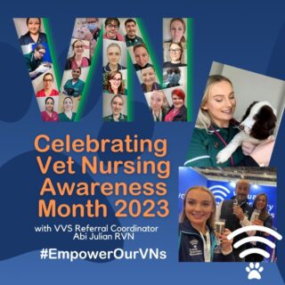 * Friday Feature *

In honour of Veterinary Nursing Awareness Month, we are celebrating the contributions of the wonderful RVNs at Virtual Veterinary Specialists.

Today we catch up with Referral Coordinator, Abi, who will be taking over our Instagram stories today, so do head over and ask any questions you may have for her!

“I have worked as an RVN now for years. Initially in first opinion practice before moving over to sole charge OOH night nursing for two years. Last year I joined VVS and continue my nursing career here with an amazing team of nurses by my side.

I am a huge advocate for empowering and upskilling our fellow colleagues. The beauty of nursing lies in its wide-ranging opportunities, but our true power stems from our unwavering dedication to animal welfare and our sense of community. By supporting and empowering one another, we can continue to demonstrate the significance of our profession! 

The nurses we work with in practice are incredible, and I am so lucky to be able to work so closely with them all.’

Get in touch to find out more about working with VVS.

www.vvs.vet

#planetRVN #VNAM2023 #whatVNsdo #EmpowerOurVNs #VNAM #bvna #veterinarynursing #vetnurseawarenessmonth #vetnurse #registeredveterinarynurse #vetstagram #virtualvet #virtualspecialist #virtualreferral @thebvnaltd