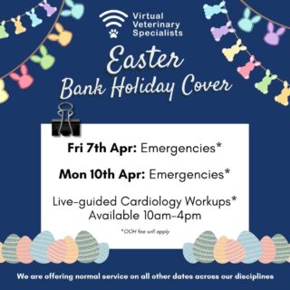 Wishing you a very happy Easter period! 🐣 

Virtual Veterinary Specialists remains available to support you during the easter period. We will be providing cardiology availability on bank holiday Friday 7th April and Monday 10th April with specialist support for your urgent and emergency cases. Please do get in touch on those days should you require assistance. 💐 

We also remain available for advice calls and written reports across all of our disciplines during this time:
•	Cardiology
•	Anaesthesia
•	Internal Medicine
•	Oncology
•	Neurology
•	Dermatology
•	Ophthalmology
•	Exotics
•	Radiology reports 
 
Please do get in touch via WhatsApp, email (info@vvs.vet) or phone (0207 043 2283) on those days should you require support. 📱

With warmest wishes. 🐤 

The VVS Team 🐰 

www.vvs.vet

#virtualvet #virtualreferral #specialistsupport #veterinaryspecialist #veterinaryreferral #easteravailability #happyeaster #vvs #vetcpd #veterinarycpd #vetmed