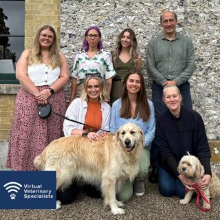 The VVS Team (plus Arthur and Elsie) really enjoyed meeting for a 'non-virtual' get together last week. 

As a virtual company it is a great opportunity to discuss our new ideas and projects, and also have a good laugh together as a team. 

We can't wait to share all of our new projects with you.

www.vvs.vet

#virtualvet #vvsteam #vvs #virtualreferral #virtualspecialist #veterinaryreferral #telemedicine #vetmed #veterinarymedicine #smallanimalvet #rvn #specialist #veterinaryspecialist #virtualspecialist