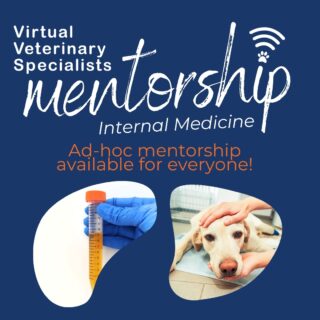 STOP PRESS 🎉 We have an exciting new VVS service available! 

You can now book ad hoc 1-hour internal medicine mentorship sessions. Feel like you could brush up on your anaemia knowledge? Seen some tricky diabetic cases and want to pick a specialist’s brain? Seeing more imported dogs and want to discuss plans for these? Our medics will be happy to help. 

Our 1-hour Internal Medicine Mentorship sessions include:

✅One-hour private mentorship meeting with your chosen VVS medic to develop and progress your individual goals. You set the agenda for your 1-2-1 sessions, so you can tailor your own learning and development.
✅Tailored follow-up reading and study points to further develop your chosen subject.
✅One hour CPD certificate per session.

You can find out more on our website, follow the link in our bio! 

Want to get a session booked in? You can book these through our bio too. 😊

#smallanimalmedicine #smallanimalmed #smallanimalvet #internalmedicine #internalmedicinespecialist #virtualvet #virtualspecialist #vvs #vetcpd #veterinarycpd #veterinarymentorship #veterinarysupport #clinicalcpd #clinicalmentorship #veterinary #vetmed #veterinarymedicine #virtualreferral #veterinaryreferral