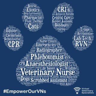 *Veterinary Nurse Awareness Month 2023*

Undertaking the numerous roles of a Veterinary Nurse takes blood, sweat and tears at times. To be the voice of the voiceless, and care for them with dignity and compassion around the clock, takes emotional, physical and mental strength. We are so grateful to all veterinary nurses for their hard work and the dedication they give to the role and to the profession. 

www.vvs.vet

#planetRVN #VNAM2023 #whatVNsdo #EmpowerOurVNs #VNAM #bvna #veterinarynursing #vetnurseawarenessmonth #vetnurse #registeredveterinarynurse #vetstagram #virtualvet #virtualspecialist #virtualreferral @thebvnaltd