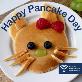 🥞 Pancake Recipe 🥞

Makes 12 small or 6 large American style pancakes:

200g SR flour
1tsp baking powder
2 eggs
200ml milk of choice
2 tbsp melted butter
2 tbsp caster sugar

1. Add all dry ingredients to a bowl
2. Combine all wet ingredients in a separate jug
3. Add wet ingredients into the dry ingredients slowly, whisking as you go
4. Heat a non-stick pan on medium heat with a little butter and add a ladle of batter at a time, flip the pancake once bubbles start to appear on the top and cook until golden brown on both sides

If you would like support with your clinical cases as well as your pancakes this Shrove Tuesday, you can refer a case at www.vvs.vet/refer-a-case/ 🐾

#vvs #virtualveterinaryspecialists #pancakerecipe #veterinary #vetreferral #homebaking #vetswhobake
