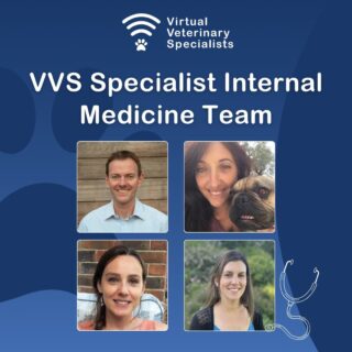 🔎 Have you spied the VVS blogs… https://www.vvs.vet/blog-veterinary-specialists/ 🔎 

Case studies include:

🐱 A Case Of Feline Hypertension – More Than Meets The Eye?	
www.vvs.vet/feline-hypertension/ 

🐶 Labrador With Abdominal Distension.
www.vvs.vet/labrador-with-abdominal-distension/ 

💊 Thoughts on Omeprazole use.
www.vvs.vet/thoughts-on-omeprazole-use/ 

We have Internal Medicine support available every day this week, so please let us know if you have one of those trickier cases, and we can support you with getting a diagnosis, and putting together a treatment plan.

www.vvs.vet/contact-virtual-veterinary-specialists/ 

www.vvs.vet

#vetblog #smallanimalmedicine #smallanimal #internalmedicine #felinemedicine #caninemedicine #veterinary #veterinaryblog #vetcpd #veterinarycpd #veterinaryspecialist #virtualvet #virtualspecialist