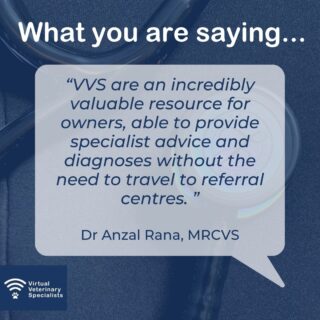 Thank you Anzal for your lovely testimonial! It is a pleasure working with you.

'VVS are an incredibly valuable resource for owners, able to provide specialist advice and diagnoses without the need to travel to referral centres. The team are always friendly and happy to help. I mainly use their cardiology service, which has helped develop my knowledge and practical skills in this field.'

Dr Anzal Rana 
BVMedSci (Hons) BVM BVS (Hons) MRCVS 

www.vvs.vet

#vetmed #veterinarymedicine #veterinarycare #virtualvet #virtualspecialist #vetcpd #veterinarycpd #veterinaryspecialist #virtualreferral #veterinaryreferral #vetcardio #veterinarycardiology #smallanimalvet #smallanimalmedicine #rvn #smallanimal #vvs