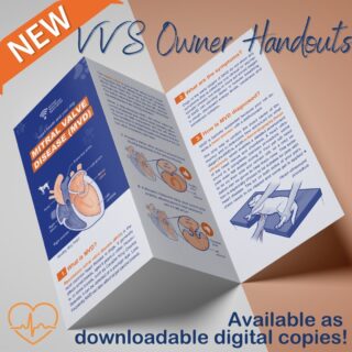 Have you seen our NEW cardiology owner information leaflets?

View, and download from our website, find the link in our bio. 

#vvs #cardiology #veterinarycardiology #vetcpd #veterinary #vetmed #veterinarymedicine #virtualvet #cardiologyspecialist #virtualspecialist #veterinaryspecialist #vetcardio #vetresources #veterinarycpd #rvn #vetstudent #vetstudentresource