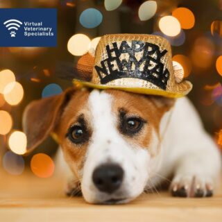 Wishing you a very Happy New Year. 

Cheers to another year! Wishing you positive new beginnings in 2024. 

To all our wonderful clients, thank you for choosing to work with us, and may this year be your best one yet! 

www.vvs.vet

#happynewyear