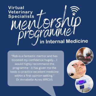 Do you want to expand your knowledge and grow in confidence in internal medicine? Do you want dedicated time to discuss internal medicine topics with a specialist? How does personalised mentorship sound to you?

If you would like to find out more about mentorship with Professor Rob Foale (RCVS and European Specialist in Small Animal Internal Medicine) you can register your interest online at the link in our bio.

#mentorship #support #development #internalmedicinementorship #internalmedicine #CPD #virtualveterinaryspecialists #VVS